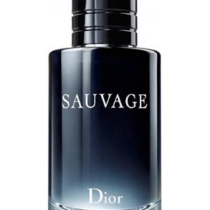 בושם לגבר דיור סובאג' Dior Sauvage